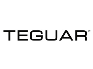 teguar-美国工控机厂家