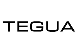 TEGUAR公司LOGO
